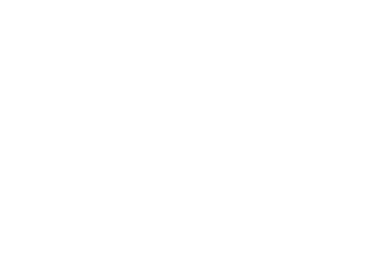 Seychelles times logo