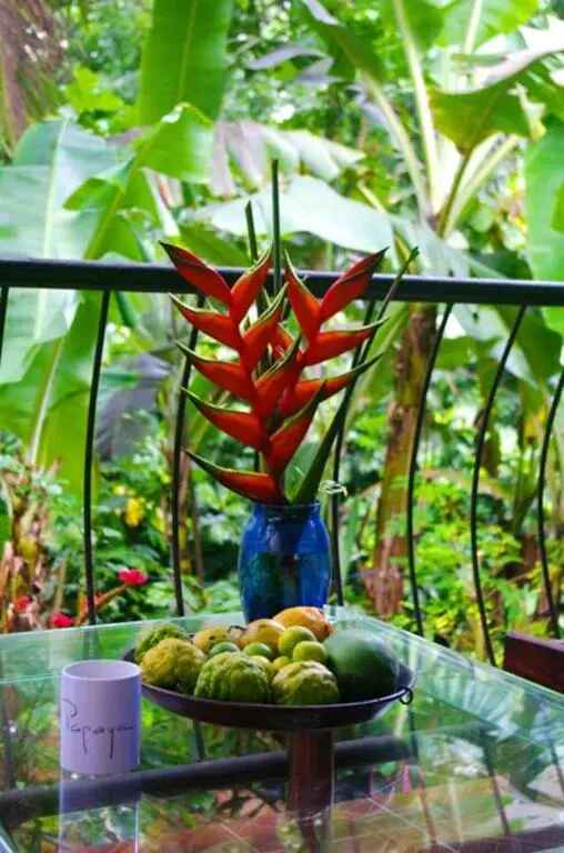 3 bedrooms house with furnished garden and wifi at Victoria