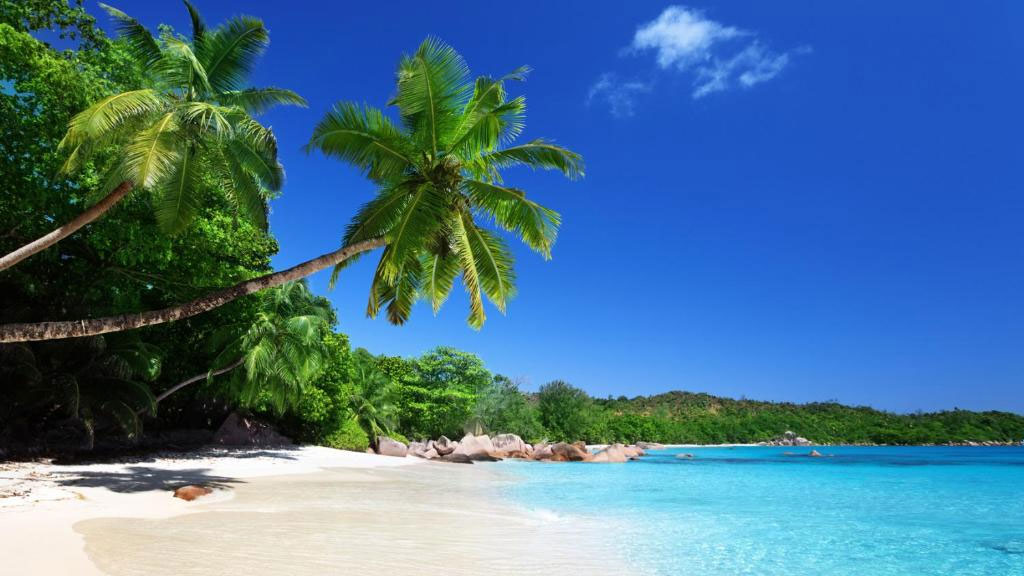 Royale Suites by Arc Royal Luxury Apts Seychelles