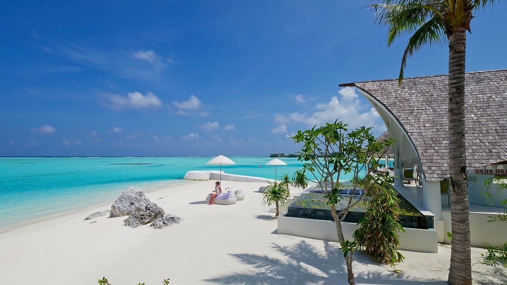 World Ocean Day: Experience Ocean-Inspired Healing by VOYA & ELE|NA at THE OZEN COLLECTION