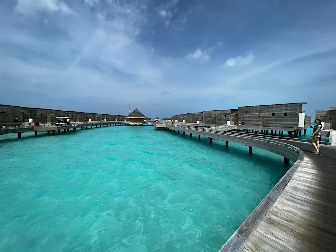 Surf & Relax Escape