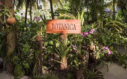Botanica by Brent Savage - One&Only Reethi Rah