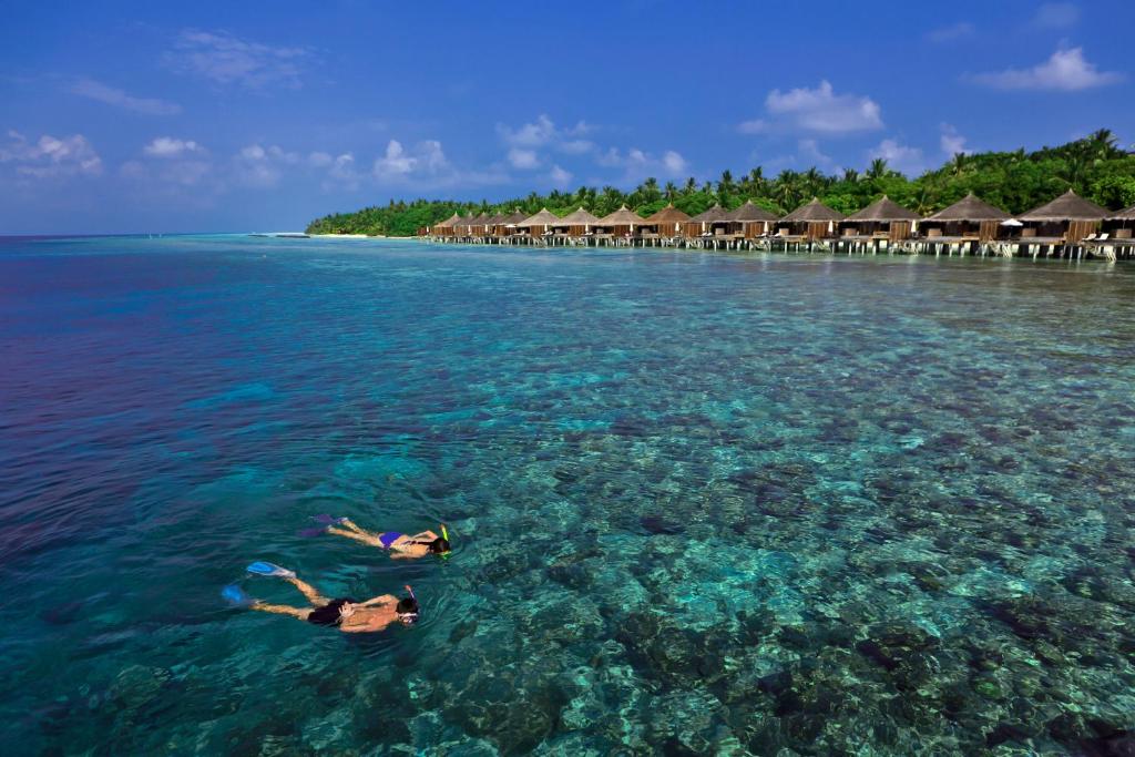 Experience a Cultural Retreat: German Traditions in Kuramathi Maldives