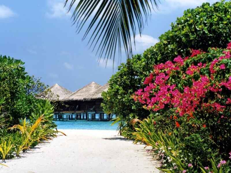 Amazing activities in the great outdoors of Lily Beach In Maldives