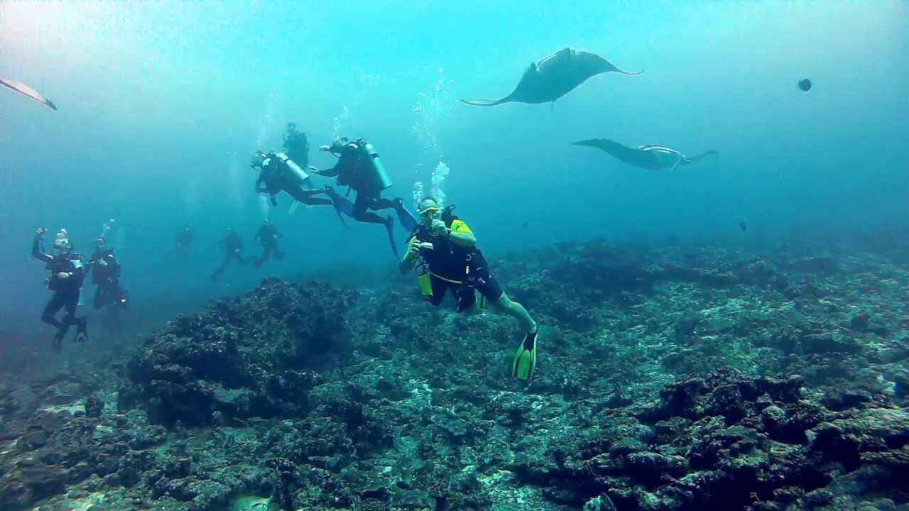 Diving in North Male Atoll In Maldives