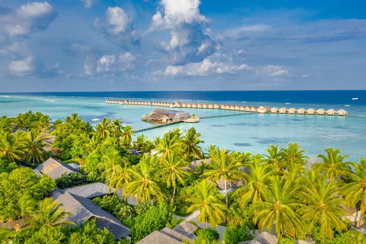 Masterful Strokes: LUX* South Ari Atoll Resort Hosts Renowned Sports Artist Gregory Burns as Artist in Residence