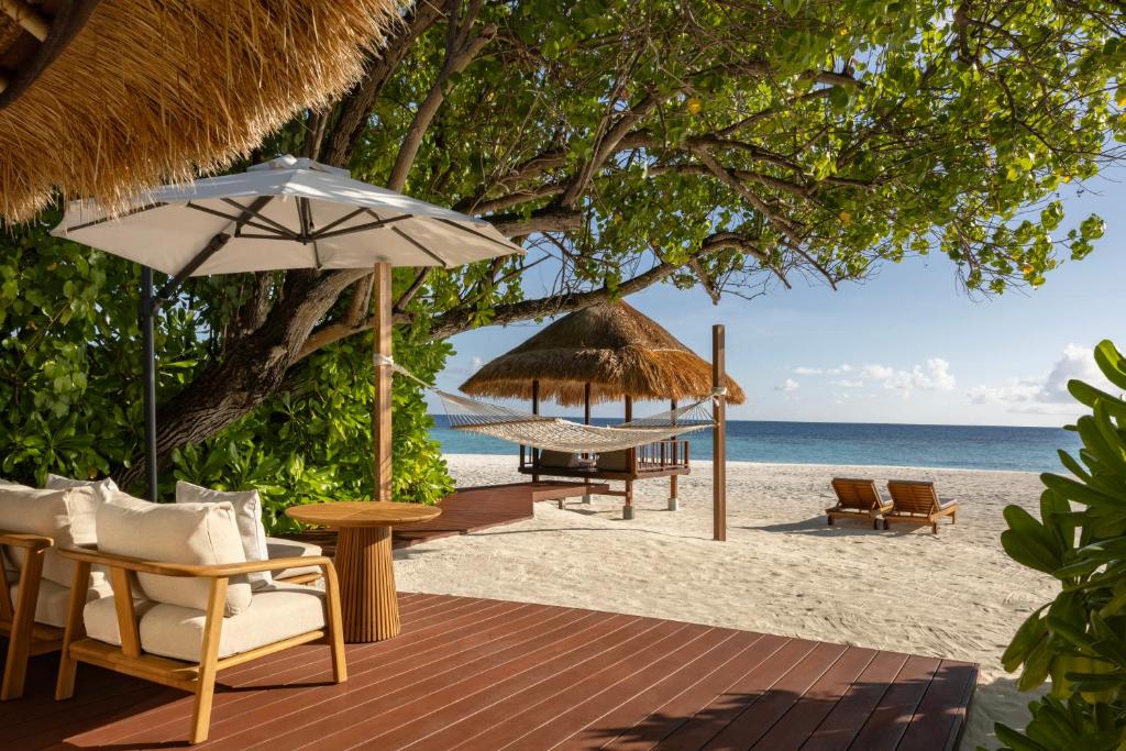 Hawksbill Turtle Returns to