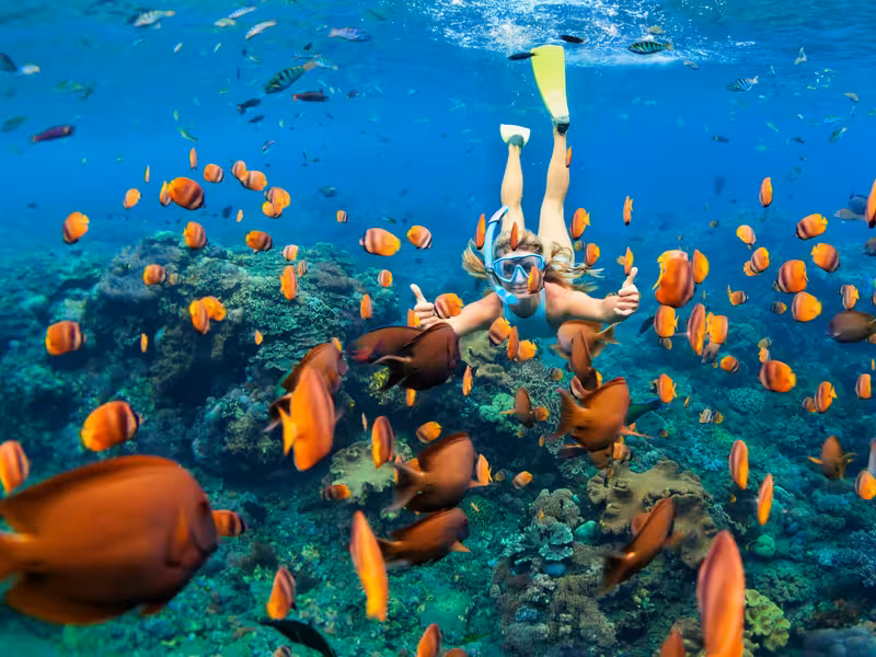 Snorkeling In Maldives