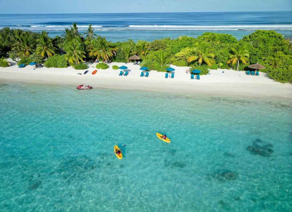 Canareef Resort Marks World Turtle Day in Maldives