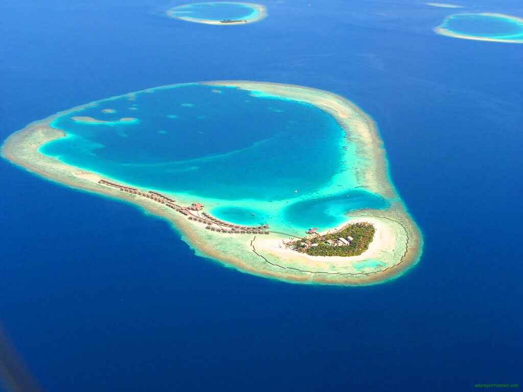 Ari Atoll Information In Maldives