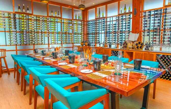 Brennia Kottefaru: Where Wine Cellar Elegance Meets Enchanting Tasting Experiences