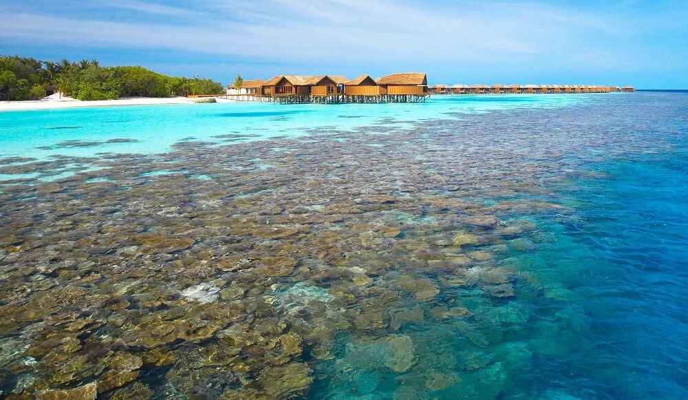 Top 10 Best North Male Atoll Hotels with House Reef In Maldives