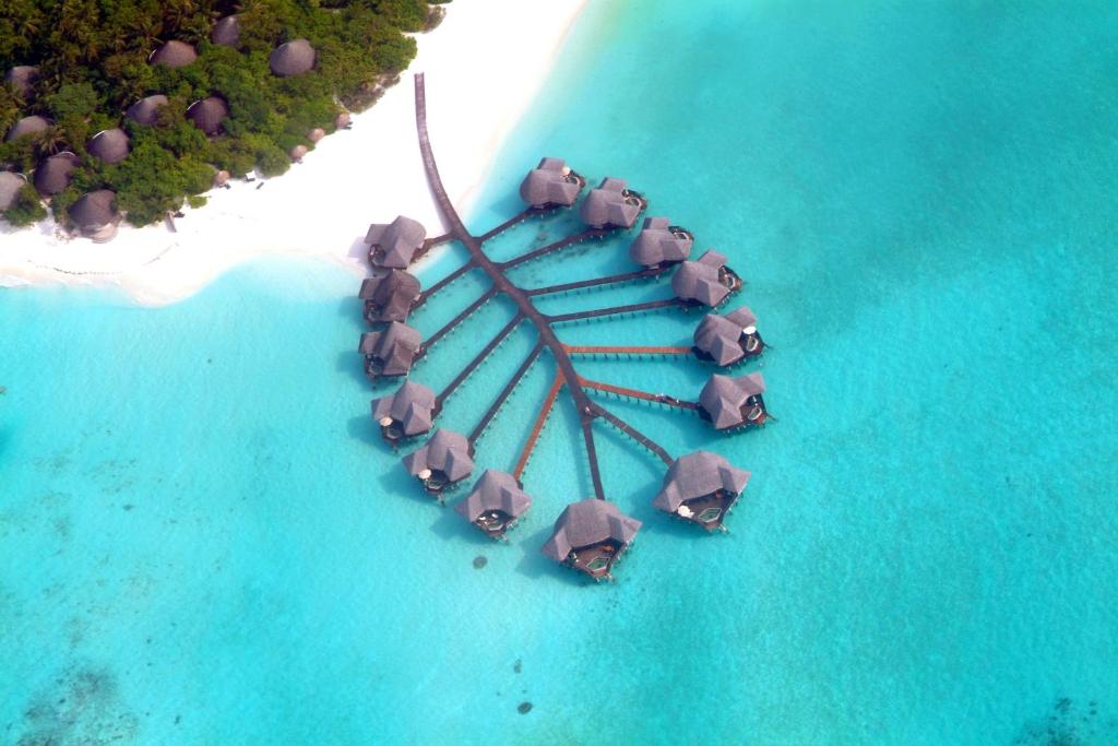 Celebrating Coco Resorts' Victory at World Travel Awards 2025