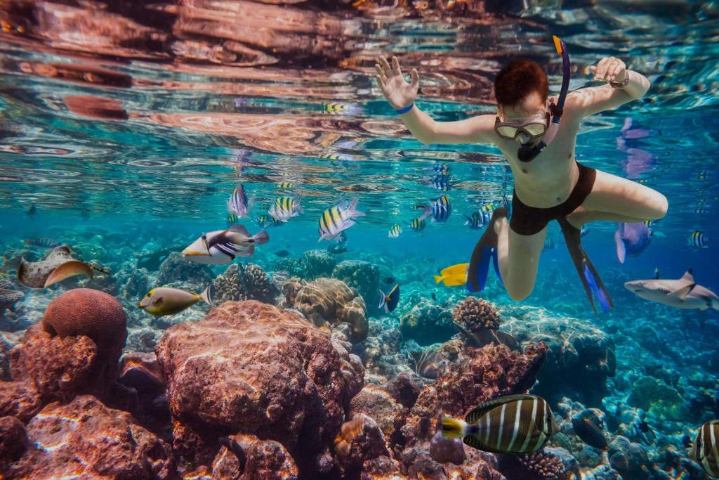 Dusit Thani Maldives Unveils Resort Refresh