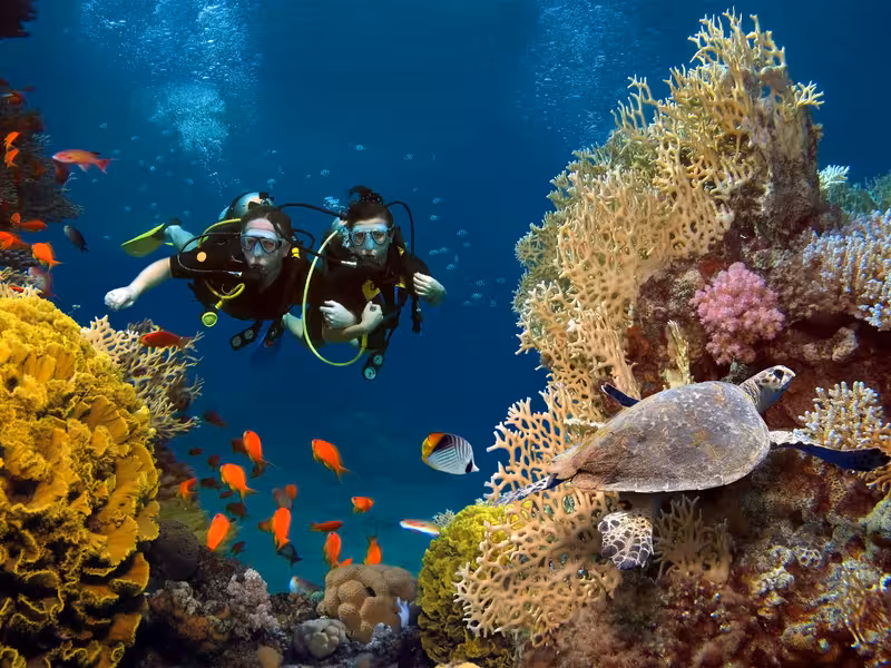 Scuba Diving In Maldives