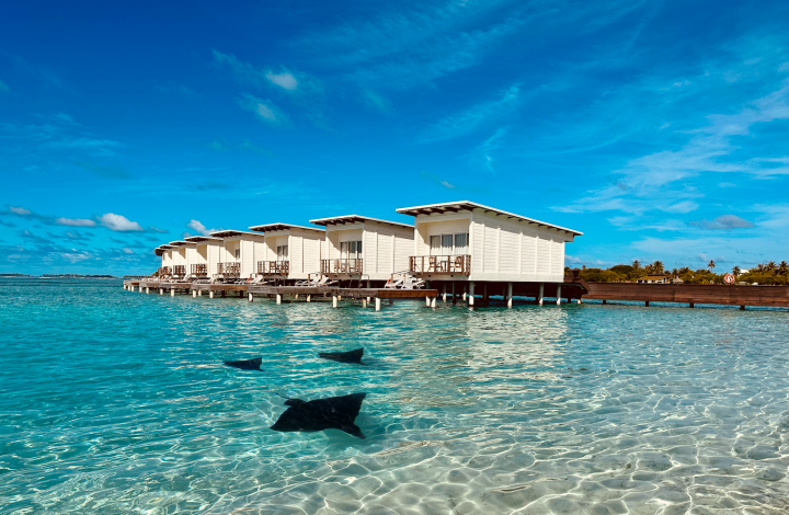 Kandooma Maldives Champions Partners