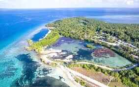 The Island