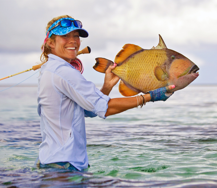 Triggerfish In Maldives