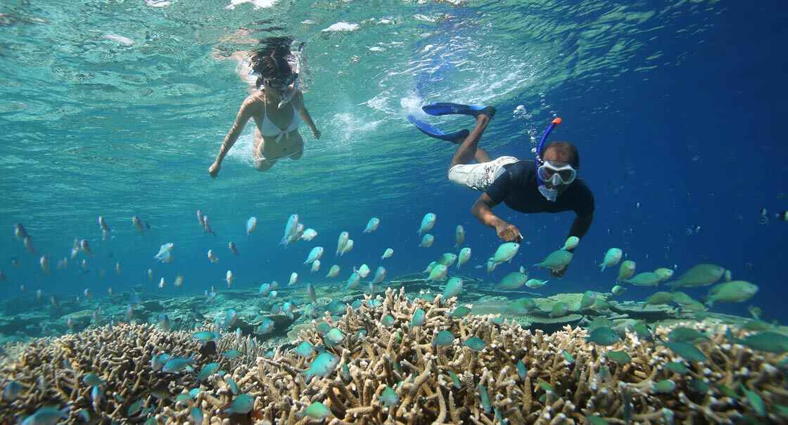 Scuba Diving in Ari Atoll In Maldives