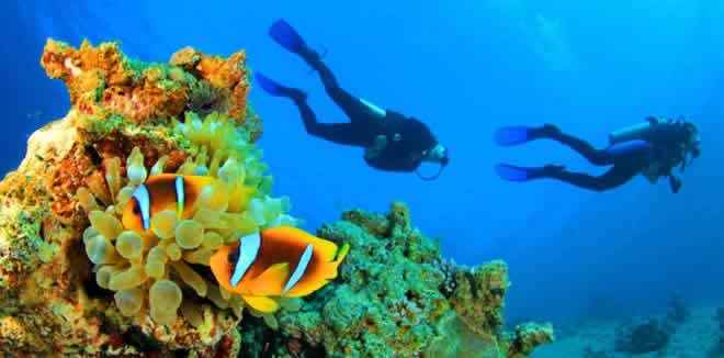 Scuba Diving in Maldives