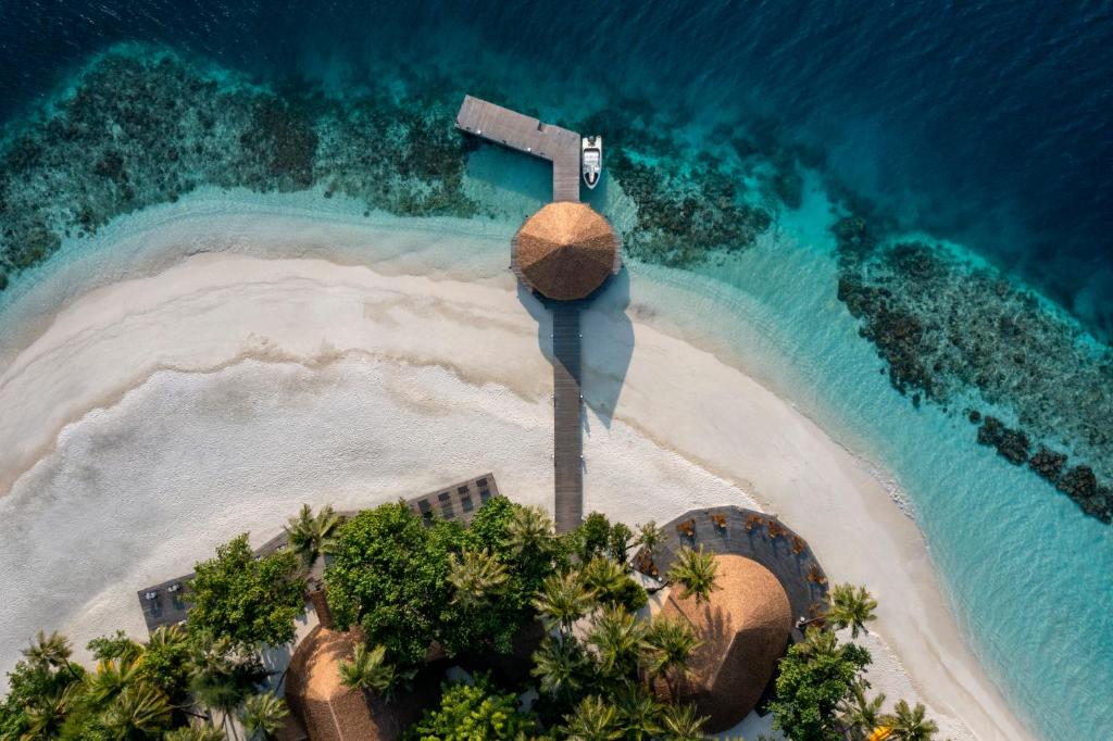 Festive Fun Awaits at