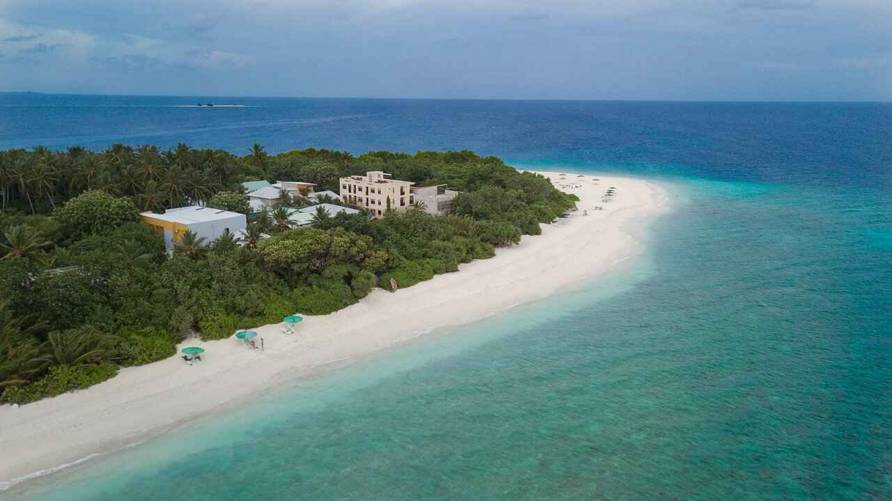 The Island