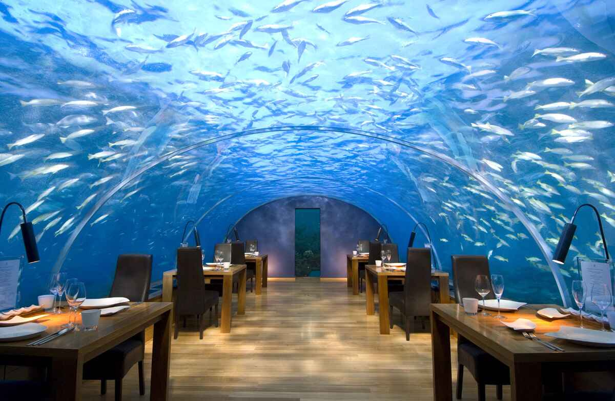 Underwater Dining