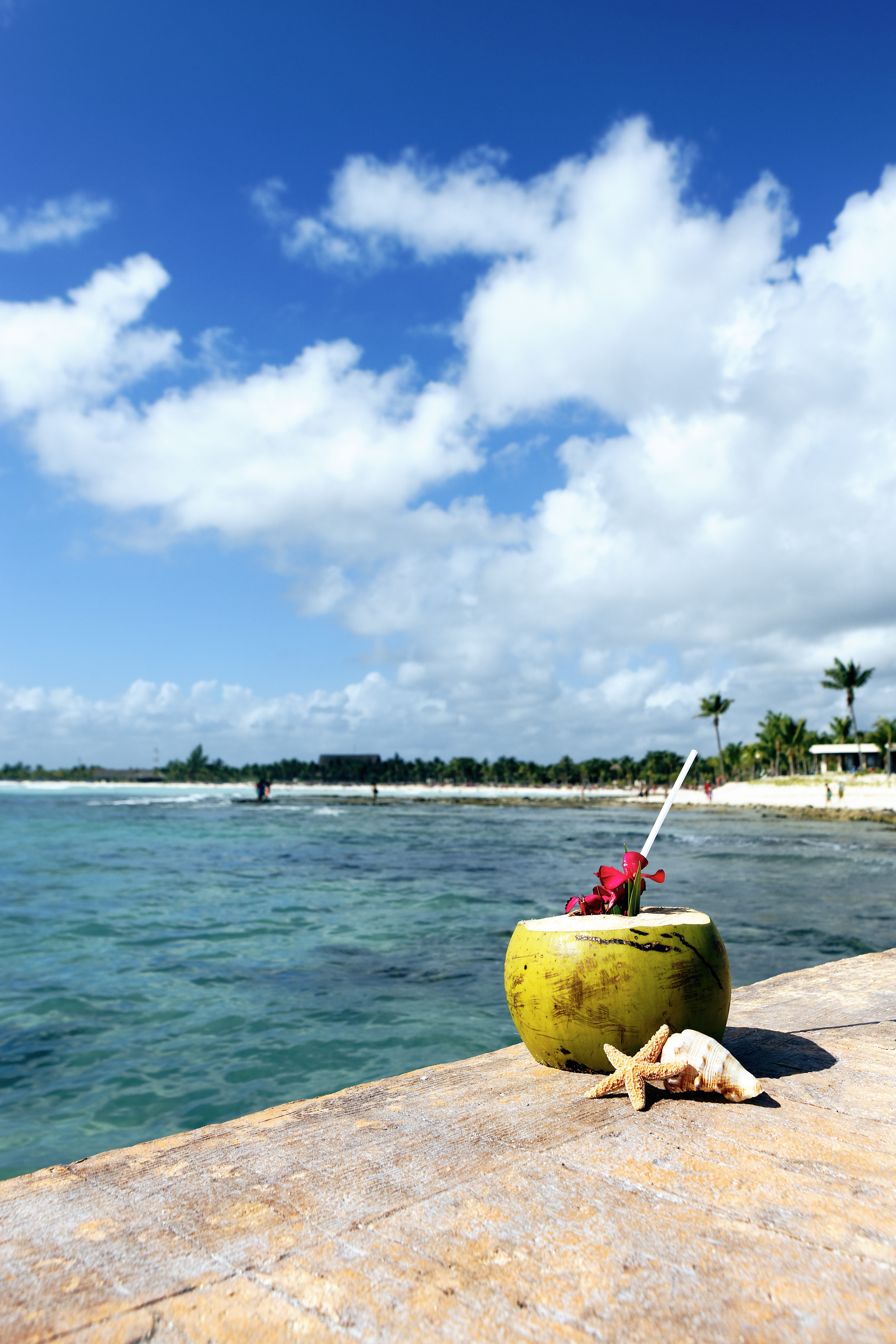 Dive into the Charm of Easter Island at Pullman Maldives