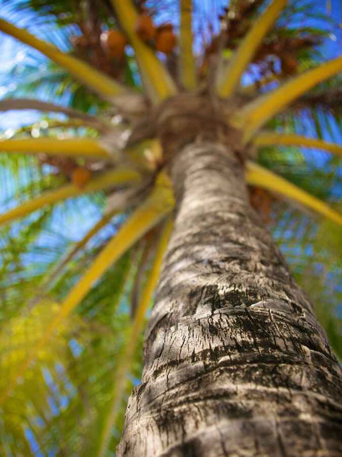 Westin Maldives Miriandhoo