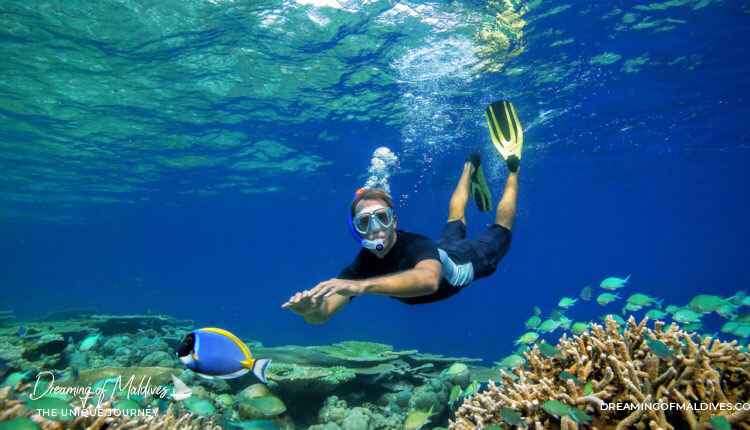 10 Best Snorkeling Resorts In Maldives