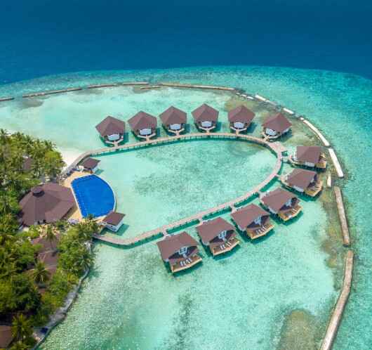The Island