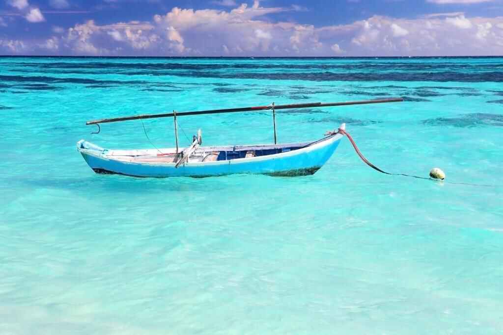 Experience Paradise at Thoddoo Island Hotel