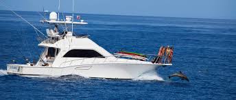Going on Maldives surf charters